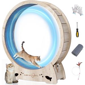 Cat Exercise Wheel, 50" Cat Running Wheel for Indoor Cats with Locking Mechanism, Cats Treadmill Wheels with Quiet Carpeted Runway, Cat's Weight Loss and Health (50")