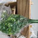 Pack Wooden Shelves with Fake Hanging Plants for Wall Decor, Modern Farmhouse Wood Wall Art for Living Room, Bathroom (Light Brown)