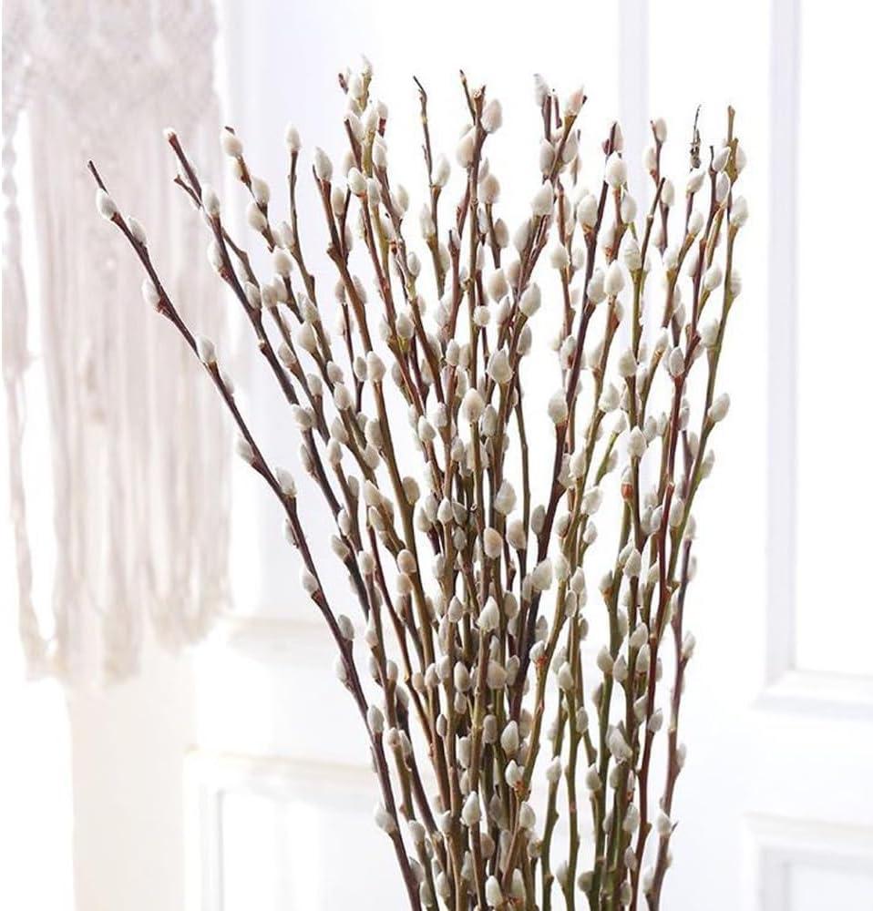 30 Branches Pussy Willow Branches for Vases 23 Inches Natural Dried Pussy Willows Real Dried Flowers 2 Years Long Lasting for Home Decoration