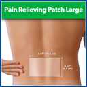 2 x Salonpas Pain Relieving Patch, Large, 6 Count, for Back, Neck, Shoulder, Knee Pain and Muscle Soreness, 8 Hour Pain Relief