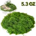 5.3oz Fake Moss for Crafts, Green Artificial Moss for Plants Indoor Outdoor