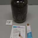 Back to the Roots Windowsill Planter: Lavender