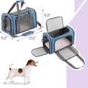 Mr. Pen- Pet Carrier, 17.5" x 11.2" x 11.5", Medium Size, Blue, Portable Travel Carrier for Small Pets, Cats & Small Dogs, Breathable Mesh, Safety Inner Leash, Side Pocket & Padded Shoulder Strap