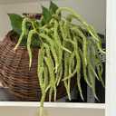 3Pcs Artificial Amaranthus Flower Fake Hanging Green for Wedding Bouquets Home Decor Arrangement Photo Props Party Decoration 37''(Green)