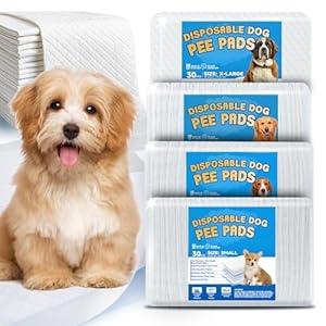 Wee Wee Pads for Dogs, Premium Puppy Pads with 6-Layer Leak-Proof Design, Disposable and Safe Dog Pee Pads, M, 40 Count