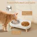 Elevated Cat Bowl, Raised Cat Food and Water Bowl Set for Indoor Cats, Splash Proof with 2 Stainless Steel Pet Food Bowls for Cats and Puppies, Whisker Fatigue and Dishwasher Safe - White