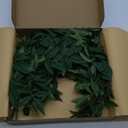 Ling's moment Rosa Banksiae Artificial Vines, Pack of 7 Silk Greenery Garlands with Hanging Faux Laurel Leaves for Table Centerpieces, Wedding Arches & Floral Filler Arrangements