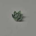 Succulent Plant, 3.54" Ceramic Wall Decor Artificial 3D Flower Wall Art, Handmade 3D Wall Art Hanging Sculpture, Porcelain Flower Wall Decor (Light Green)