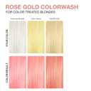 Celeb Luxury Colorwash Color Depositing Shampoo - Color Refresher, Vegan Hair Dye, Bondfix Bond Rebuilder, Viral and Gem Lites
