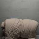 Bedsure Twin/Twin XL Comforter Set, Beige Soft Prewashed Bedding for All Seasons, 2 Pieces GentleSoft Warm Down Alternative Bed Set, 1 Lightweight Comforter (68"x88") and 1 Pillowcase (20"x26")