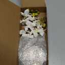 Artificial White Orichid Artificial Flowers in Clear Glass WaterFilled Vase  Silk Fake Plants Table Centerpiece for Home, Shelf, Office & Dining Decor, MaintenanceFree