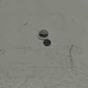 Apple AirTag. Keep Track of and find Your Keys, Wallet, Luggage, Backpack, and More. Simple one-tap Set up with iPhone or iPad