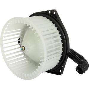 ECCPP HVAC Plastic Heater Blower Motor w/Fan Cage fit for 1999-2002 Infiniti G20/1996-1999 Infiniti I30/1997-2003 Infiniti QX4/1995-1999 Nissan Maxima/1996-2004 Nissan Pathfinder