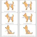Idepet Belly Bands for Male Dogs with Suspender Detachable, 3 Pack Male Dog Belly Bands Washable Doggie Boy Diapers Reusable Male Pee Wraps for  Dog, M