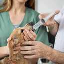 100 Pcs -2.5ml Luer lock Syringe with 23ga (25mm) Needle, Individually Packaging Disposable Plastic Syringes and Needles for Scientific Labs, Industrial, Animal and Pet Supplies