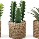 3-Pack Artificial Succulent Plants in Vintage Plastic Pots - Fake Waterproof Succulents Decor for Home, Office, Desk, Shelf - Low Maintenance Indoor Greenery for Bathroom, Living Room, Table Decor