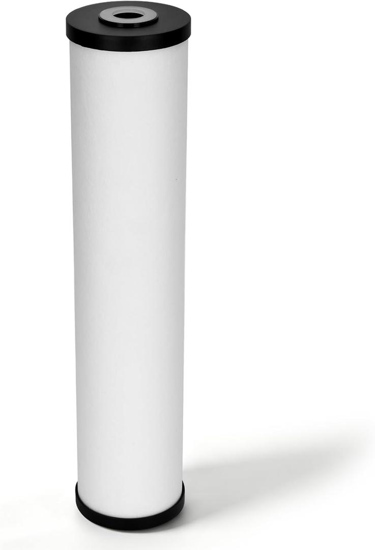 RFFE20-BB Water Filter, 20-Inch, Whole House Radial Flow Iron Reduction Replacement Cartridge, 20" x 4.5", White