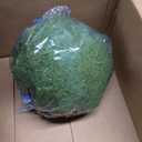 Fake Moss Balls Decorative Faux Moss Balls 8" Artificial Balls for Outdoors Large Green Hanging Balls Bowl Fillers for Centerpiece Balls Home Party Wedding Decor