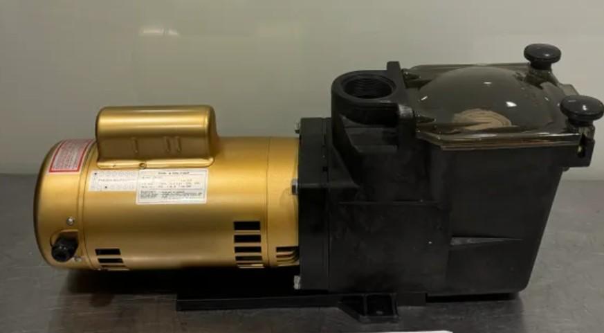 SP1503 Pool Pump ASSY 110-220V 1.5HP 1PH