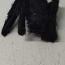 JOYIN Halloween Outdoor Decorations Giant Spider, 5 Ft Large Spider for Yard Lawn Garden Patio Scary Halloween Outside Decor, Indoor Haunted House Prop and Home Party Decor, Black