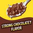 Cocoa PEBBLES Cereal, Gluten Free Rice Cereal, Family Size 32 oz Bag (EXP 11/11/26)