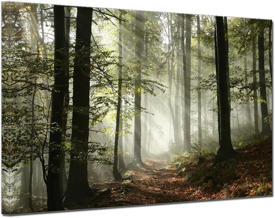 Forest Canvas Wall Art Trees Foggy Morning Spring Rustic Landscape for Bedroom Bathroom Decorations Modern Artwork Print Framed Painting Living Room Home Office Wall Dcor 12x16inch