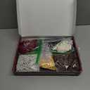 FOCO NCAA Unisex NCAA College 3D BRXLZ Puzzle Team Football Stadium (One Size)