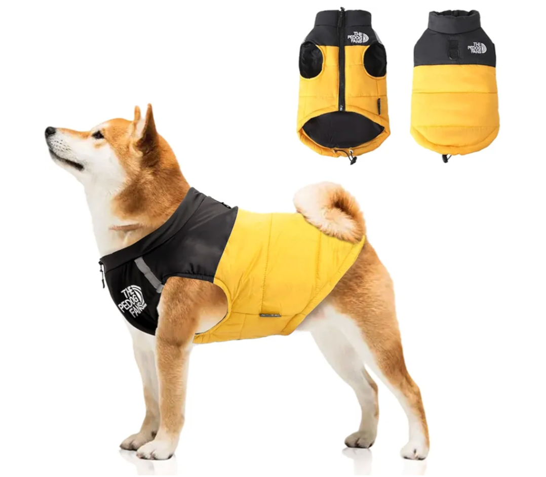 Dog Coat - Water Resistant, Windproof Winter Warm Dog Clothes for Small Medium Dogs 2.2-19.8 Lb, Dog Down Jacket with Leash D-Ring Outdoor (Yellow, L)
