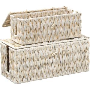 Cable Management Box,Boho Decorative Handwoven 2 Open Slots Cord Organizer Hider Box with Lid for TV Wires, Computer, Router, USB Hub and Under Desk Power Strip (Milky White)