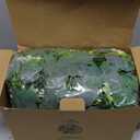 Mizii 2 Strands Artificial Vines Eucalyptus Garland 68" Fake Vine with Silk Leaves Green Garland Faux Hanging Plants Greenery Decoration for Bedroom Room Table Centerpieces Wedding Decor (Greenery