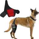 Dog Knee Brace  Support for ACL & Knee Joint Issues with Red Infrared Light Therapy, Pain Relief for Arthritis & Ligaments, Portable & Cordless, Patent PendingRigh Leg,XL (Extra Large)