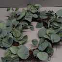 idyllic Eucalyptus Leaves Wreath Metal Polyester Green Wreath 14 Inches for The Front Door Dcor, 1 Pack