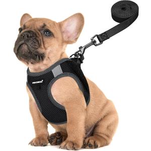 FAYOGOO Service Dog Vest for Small Breed - Lightweight Dog Harness with 6PCS Removable Patches - Puppy Harness and Leash Set for Walking,Training (XS, Black)
