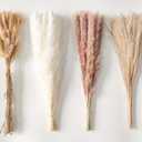Dried Pampas Grass Decor 110 PCS Dried Plants,Dried Flowers Natural pompas Floral for Wedding, Boho Decor , Home, Rustic Party, Baby Shower Arrangement Centerpiece Table Decorations (Multi-colored-100pcs)