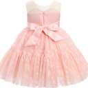 Baby Girl Daisy Strawberry Confetti Birthday Dress Pageant Tea Party Easter Outfits Toddler Princess Fancy Ball Gown (Pink)