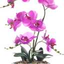 19" H Phalaenopsis Faux Orchid Plant Silk Orchid Centerpiece Artificial Floral Arrangement in Ceramic Pot (Fuchsia)