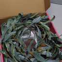 Birchlitland Lighted Olive Garland Battery Operated with Timer 6FT 96 LED Fairy Lights, Faux Vine with Lights for Mantel Fireplace Wall Patio Wedding and Holiday Decor