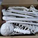 5.4Ft Posable Halloween Skeleton with Dog Cat Skeleton for Halloween Decor