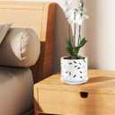 BUYMAX 5 inch&6 inch Orchid Pots with Holes & Removable Trays, White Ceramic Pots for Plants, Effective Drainage and Ventilation for Orchid Root Health to Assist New Plants or Repotting
