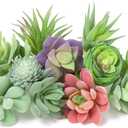 HappyHapi 12 Pcs Artificial Succulents Mini Fake Plants Unpotted Faux Succulent for Craft, Small Plastic Succulents Assortment in Flocked Green Floral Decor for Party, Cake, Garden & Outdoor
