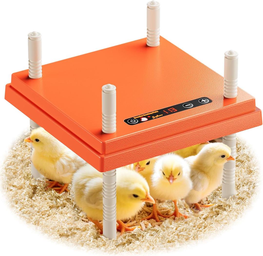 10" x 10" Chick Brooder Heating Plate with Adjustable Temperature and Height, Holds 15 Young Chickens