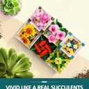 Succulent Bonsai Building Toy, Botanical Collection Plant and Flower Rose, Plant Building Block for Home Decoration, Gift Ideas for Adults Teens Kids (Pack of 6)