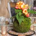 Moss Ball Flower Pot Natural Planter Bonsai Plant Holder Bird Nest for DIY Gardening Home Table Decoration - 9cm