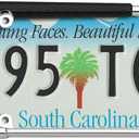 Cruiser Accessories 19509 Golf Club License Plate Frame, Chrome/Painted, Standard