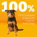 Pedigree Adult Dry Dog Food, Complete Nutrition, Grilled Steak & Vegetable Flavor, 18 lb. Bag (EXP 10/10/26)