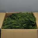 5FT Artificial Cedar Topiary Tree, Set of 2 Faux Evergreen Pine Shrubs Plants with Pot, Realistic Fake Plants for Outdoors Indoors Front Porch Christmas Decor