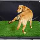 High Walls Dog Pee Pad Holder with Artificial Grass-Foldable Indoor Dog Potty Tray,Waterproof Pee Pad Holder for Small to Medium Dogs,Portable Litter Box with Washable Grass Mat Small