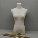 SHAREWIN Female Mannequin Torso Women Dress Forms for Sewing Manicanequin Body High Stability Gold Metal Stand for Clothing Dress Jewelry Display Adjustable Height 50-70 Thin Body