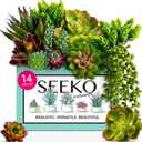 Succulents Plants Artificial 14 Pcs Realistic Premium Fake Succulents Faux for Indoor Outdoor UV Resistant DIY Home Office Decor