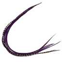 Feather Hair Extension  Dark Purple and Natural Brown Feathers, all bonded together, ranging from 4 to 7 inches in length, with a total of five authentic feathers